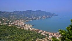 OrduPerşembe