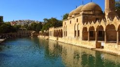 BalıklıgölŞanlıurfa
