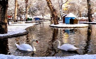 KuğuluParkAnkara