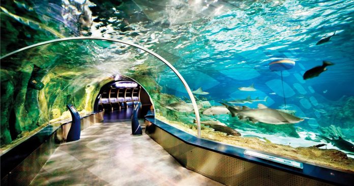 ETİ Sualtı Dünyası, Eskişehir Tatil Ana