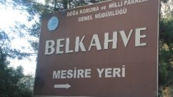 BelkahvePiknikAlanC4B1