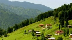 AyderYaylasC4B1Rize