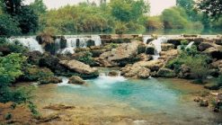 TarsusC59Eelalesi