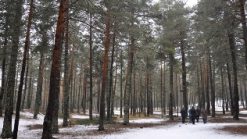 Camlidere Camkoru Tabiat Parki