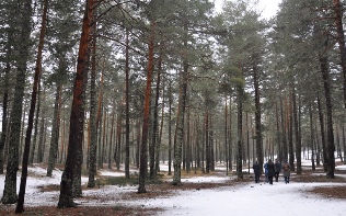 Ankara Çamlıdere Çamkoru Tabiat Parkı 2 Camlidere Camkoru Tabiat Parki