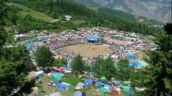Artvin Kafkasor Yaylasi