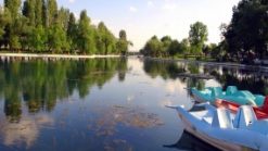 Eskisehir Sakaryabasi Cifteler