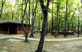 İstanbul Fatih Çeşmesi Tabiat Parkı 5 Fatih Cesmesi Tabiat Parki