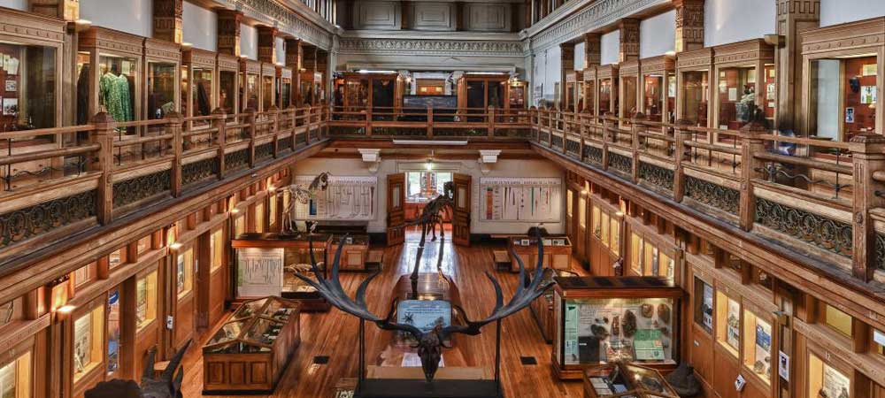 Redpath Museum